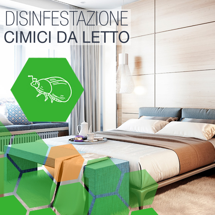 Corcolle - Disinfestazione Cimici da letto Albergo a Corcolle