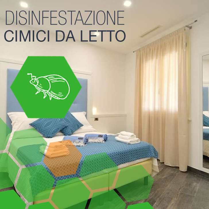 Decima - Disinfestazione Cimici da letto BeB a Decima