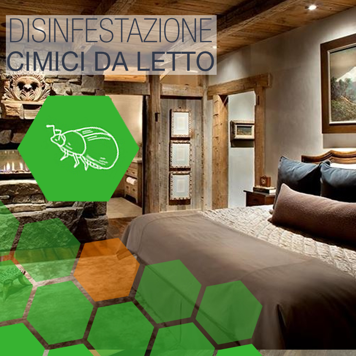 Torrino - Disinfestazione Cimici da letto Agriturismo a Torrino